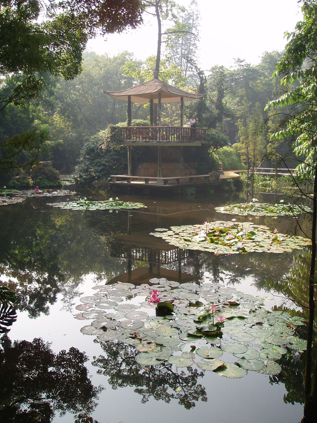 гуанчжоу фото города - парк орхидей фото 2