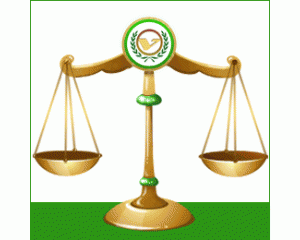 Партнерские программы скидок ТМ Volta bikes.