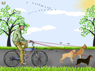 велосипедные ездовые собаки